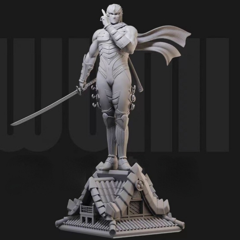 1/24  Miniature Black Robe Nin – Model Kit Baki Bewertung und Preis