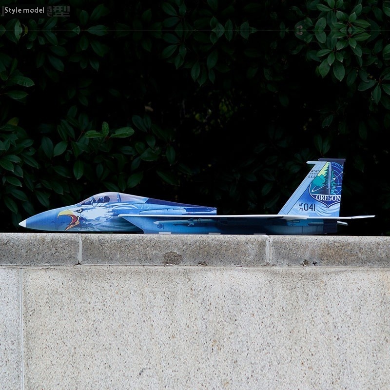 F15 Fighter Jet 740mm Wingspan – Model Kit Jet Bewertung und Preis