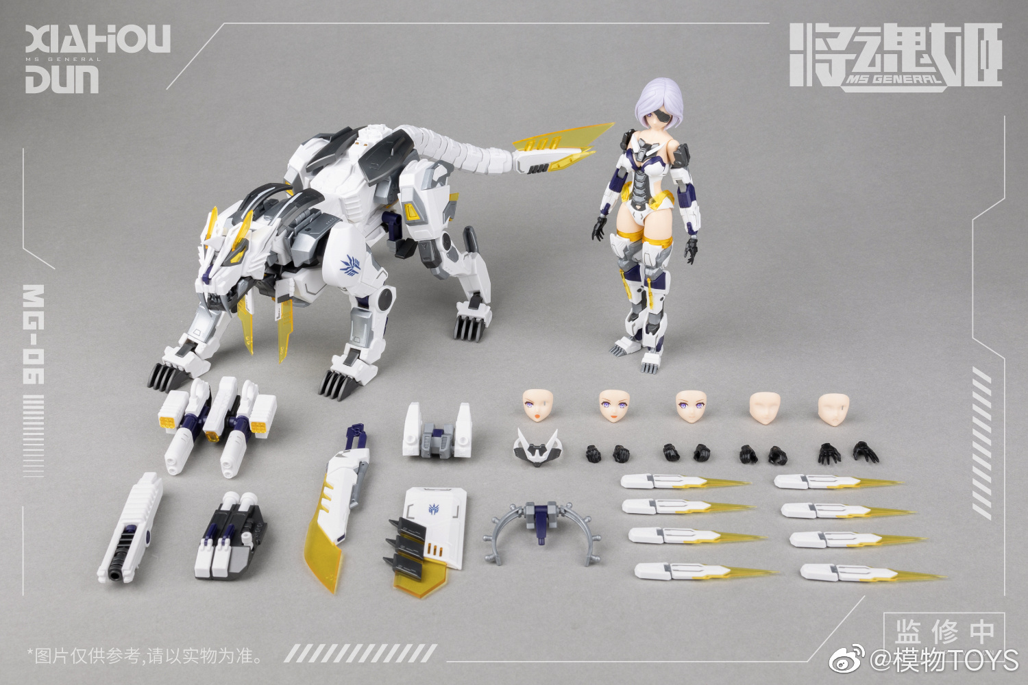 Genuine Mobile Suit Girl Anime – Model Kit Ms General Bewertung und Preis