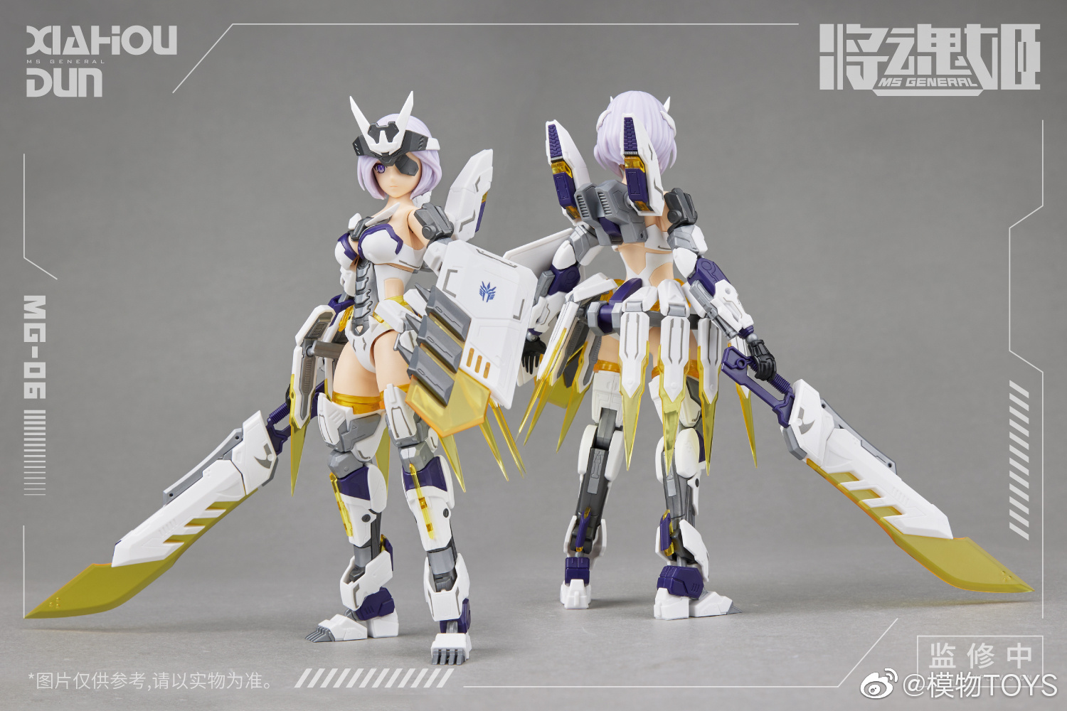 Genuine Mobile Suit Girl Anime – Model Kit Ms General Bewertung und Preis